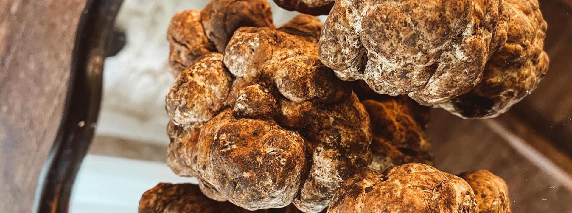 Tartufo Bianchetto Fresco